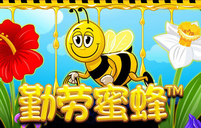 巴沙体育官网首页网站